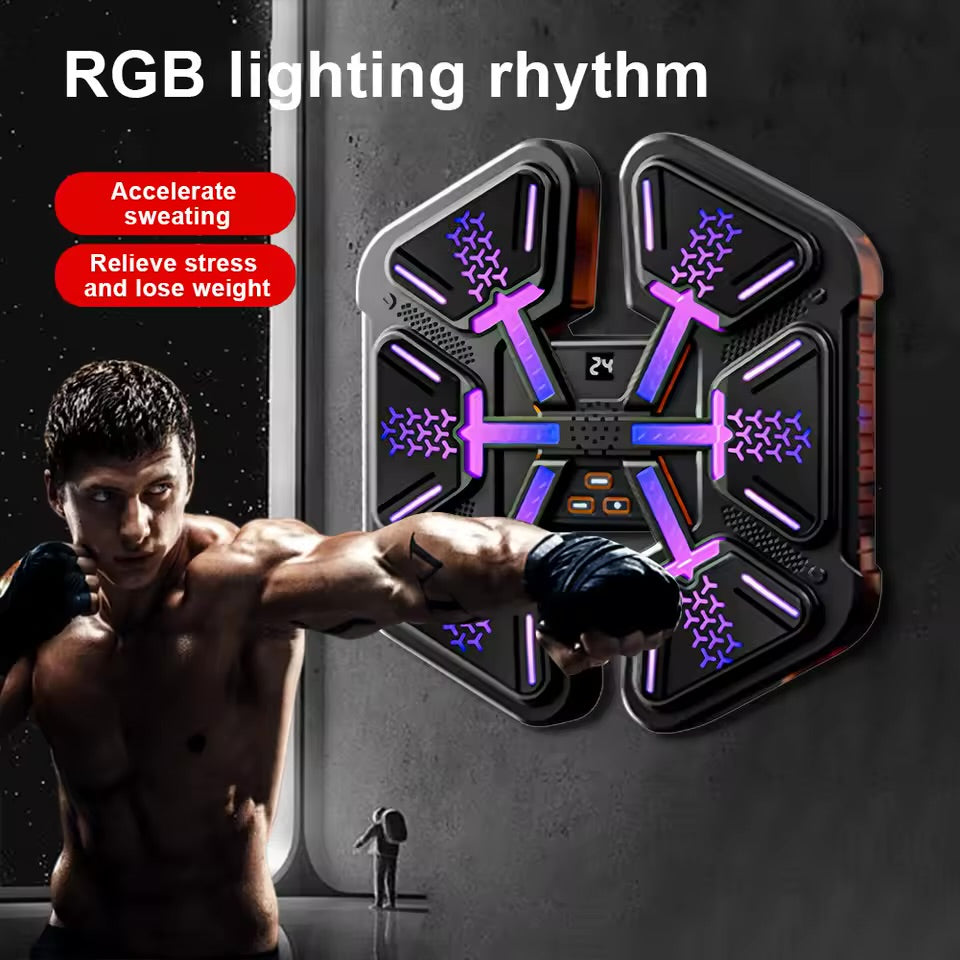 WALL-MOUNTED BOXING TRAINER
